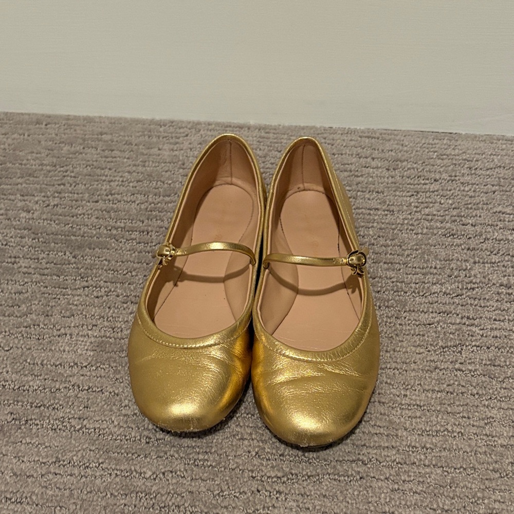 Gianvito Rossi Carla Leather Mary Jane Ballet